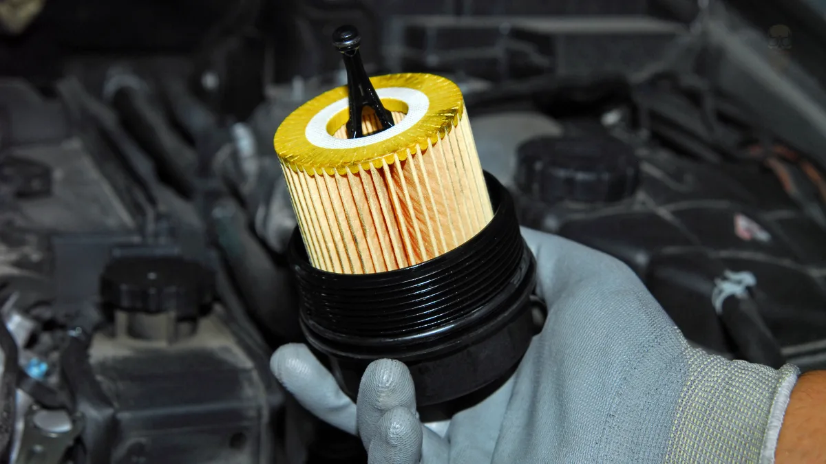 Oil & Filter Service
